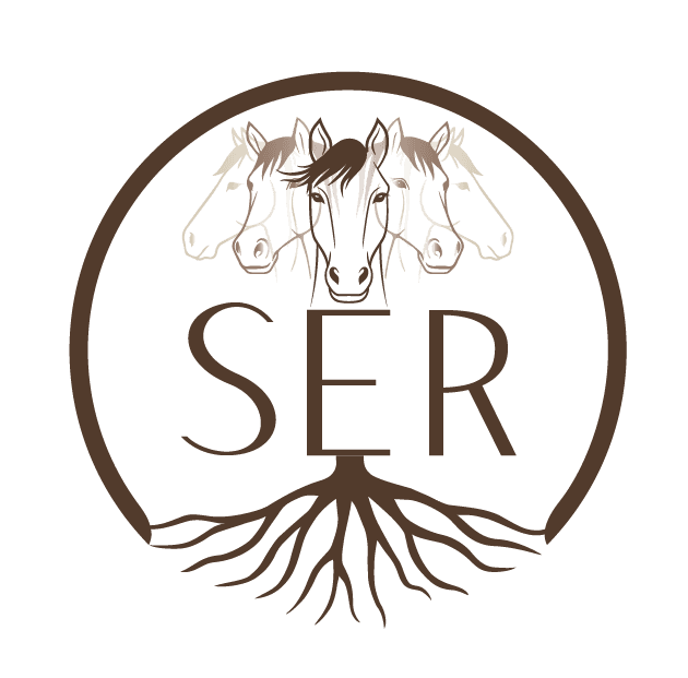 Logo S.E.R
